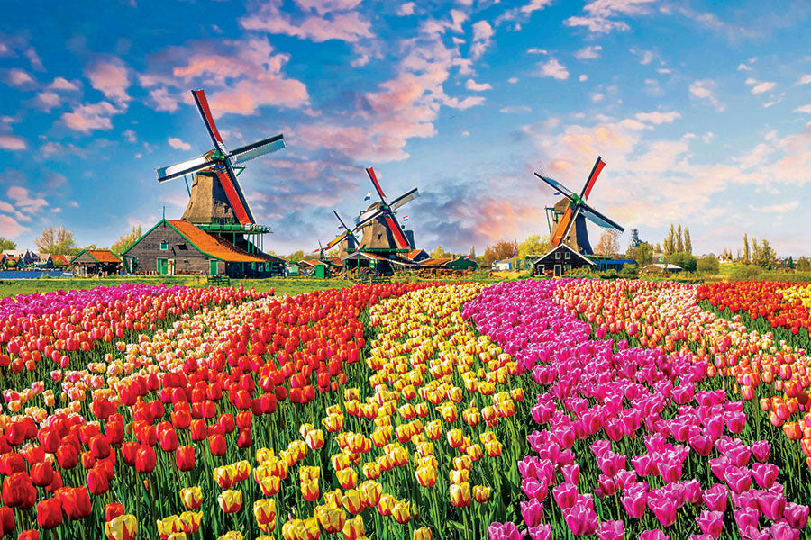 PCA 3785 Beautiful Places