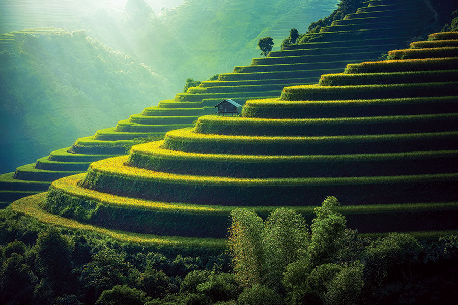 PCA 3785 Beautiful Places