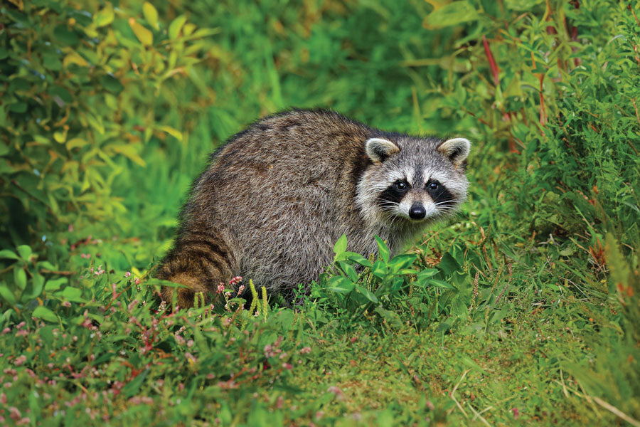 PCA 4300 Hunting & Fishing - Appointment Calendars