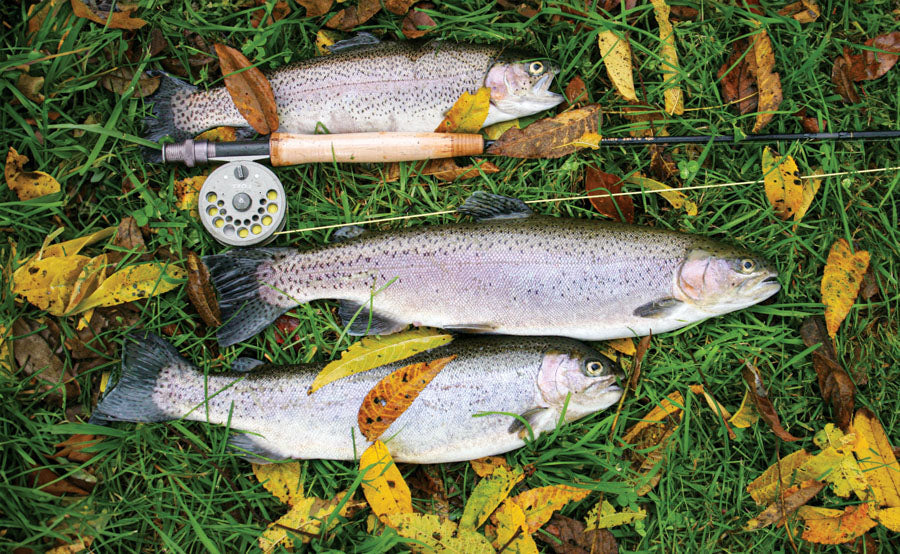 PCA 4300 Hunting & Fishing - Appointment Calendars