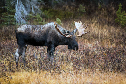 PCA 4300 Hunting & Fishing - Appointment Calendars