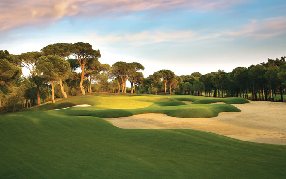 PCA Calendar 4925 Golfing Fever