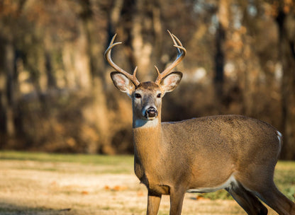 PCA 4300 Hunting & Fishing - Appointment Calendars