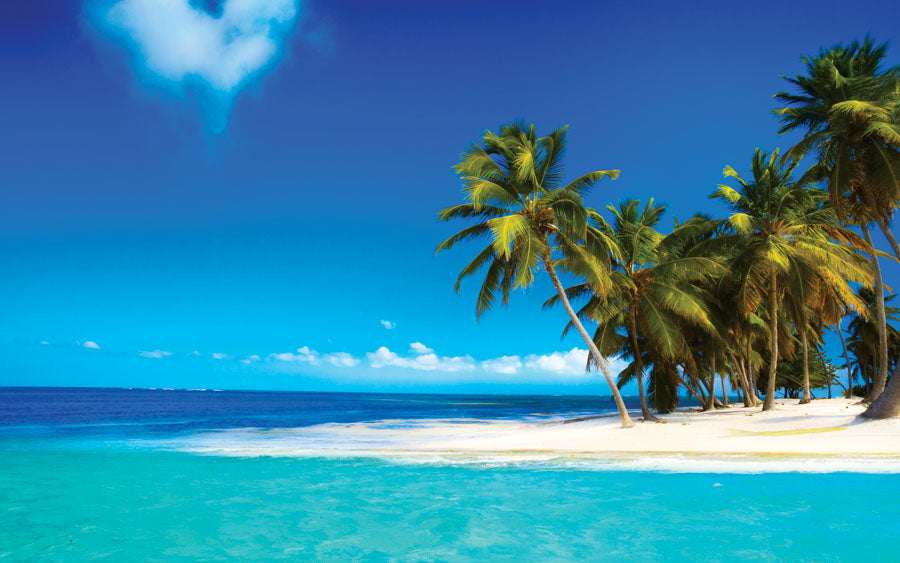 PCA 3780 Tropical - Desk Calendars