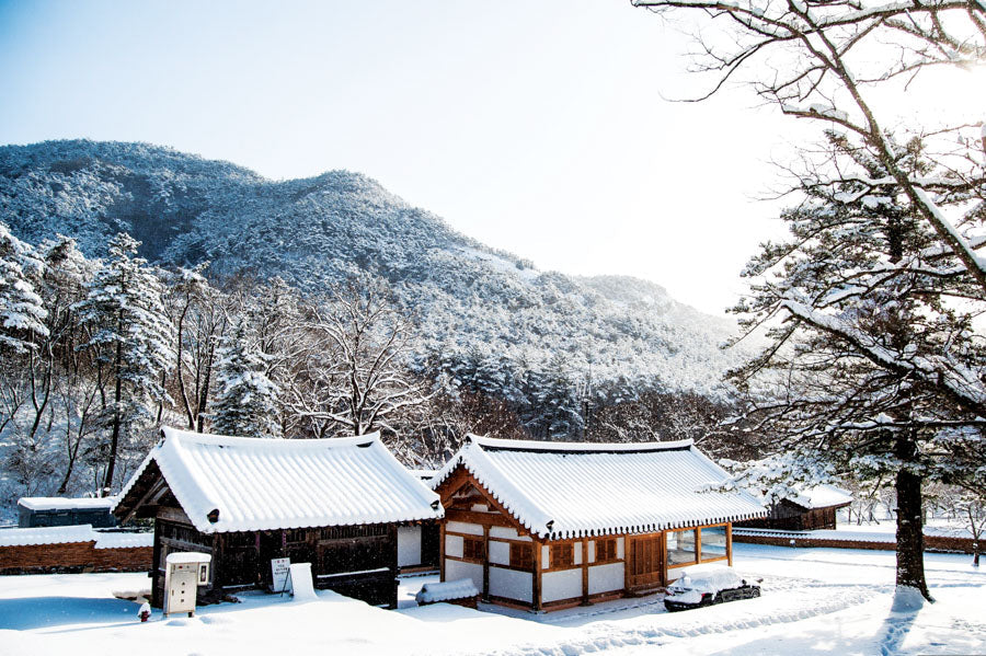 PCA 3782 Econno - Scenic - Desk Calendars