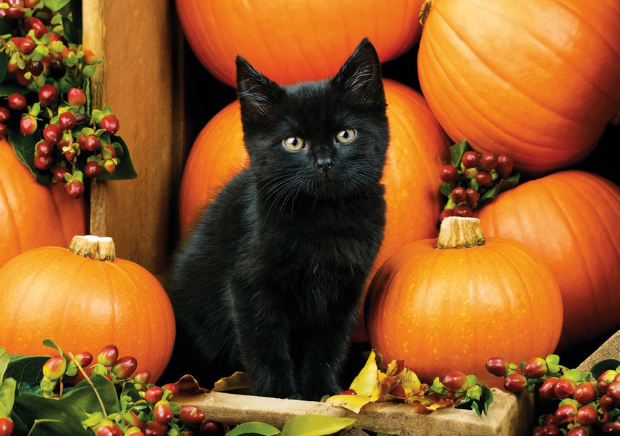 PCA 4100 Pets - Appointment Calendars