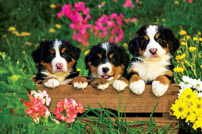 PCA 4100 Pets