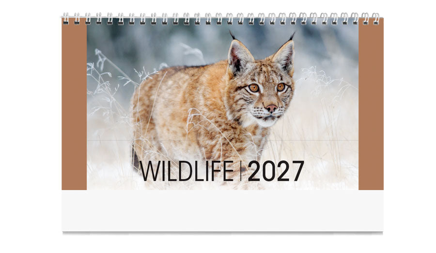 PCA 3775 Wildlife - Desk Calendars