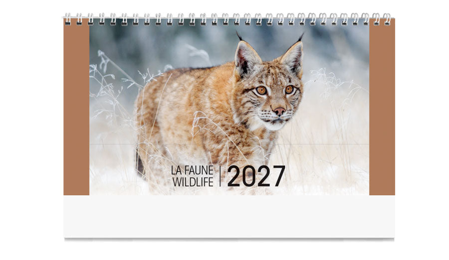PCA 3775 Wildlife - Desk Calendars
