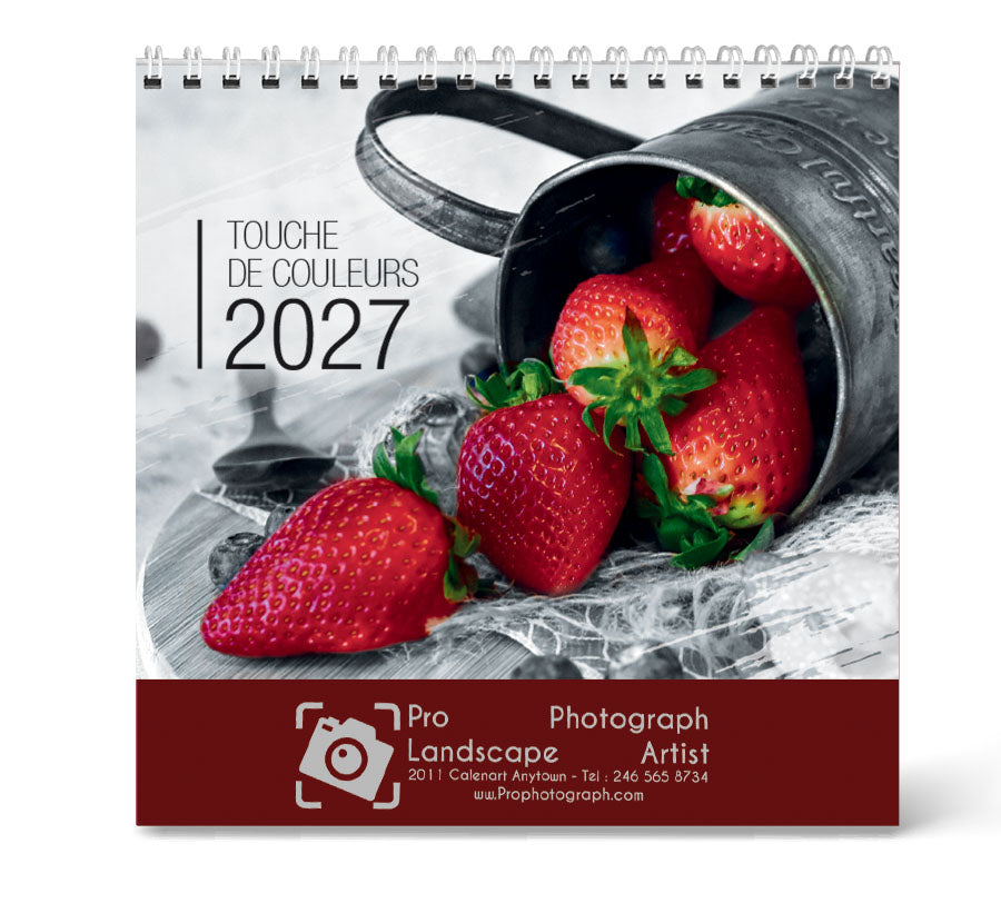 PCA 3795 Touch of Color - Desk Calendars