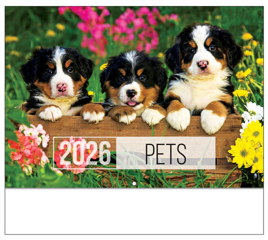 PCA 4100 Pets