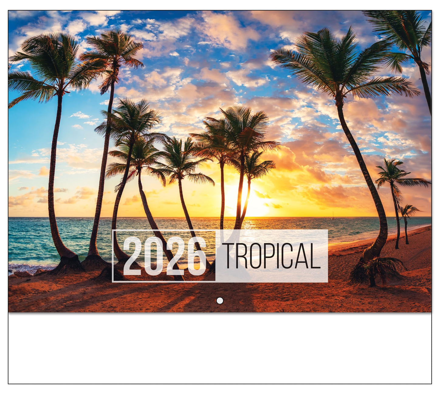 PCA 4325 Tropical