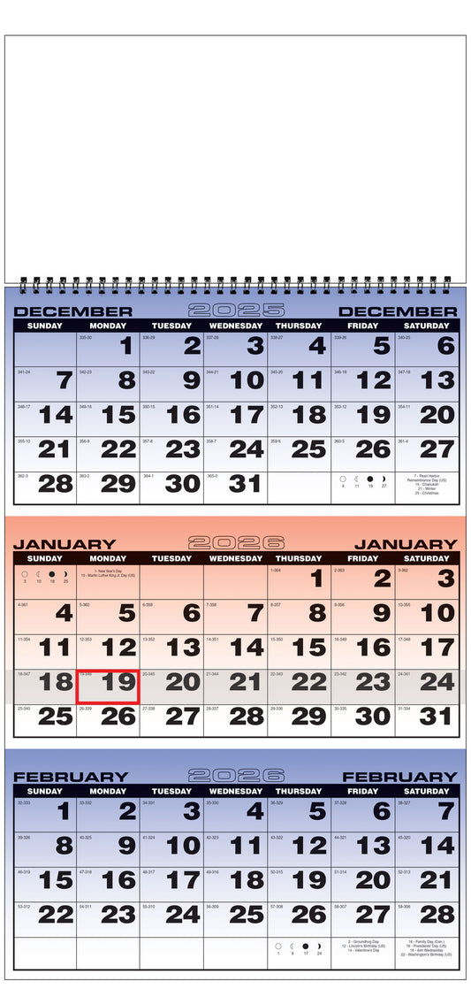 PCA 5172 3-Month Planner Economic