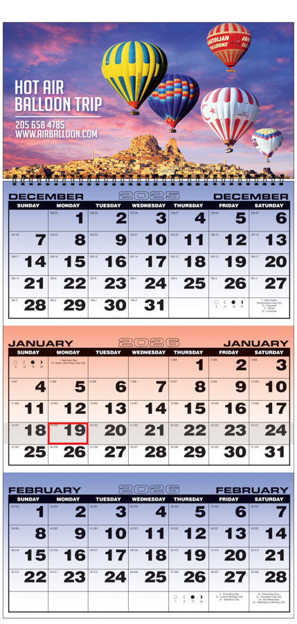 PCA 5172 3-Month Planner Economic