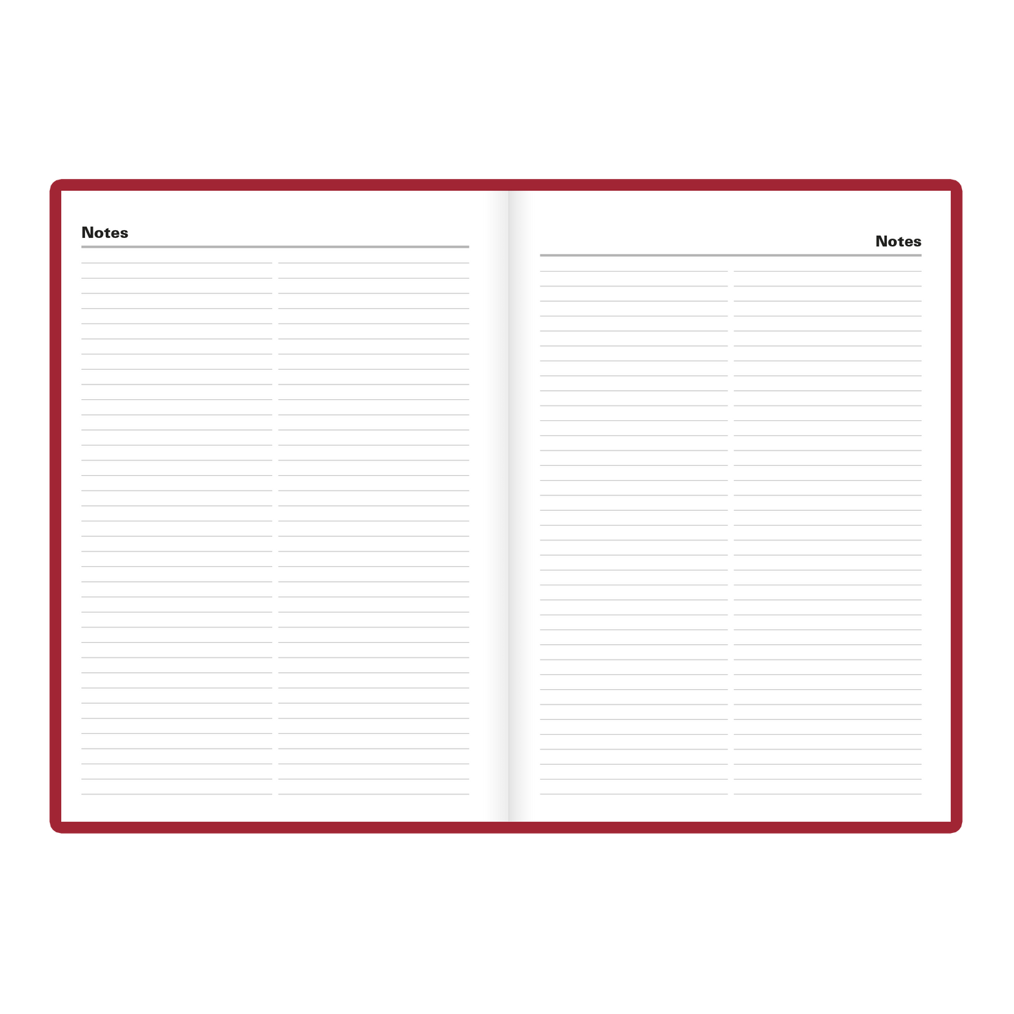 C10X QUOTIDIEN STANDARD