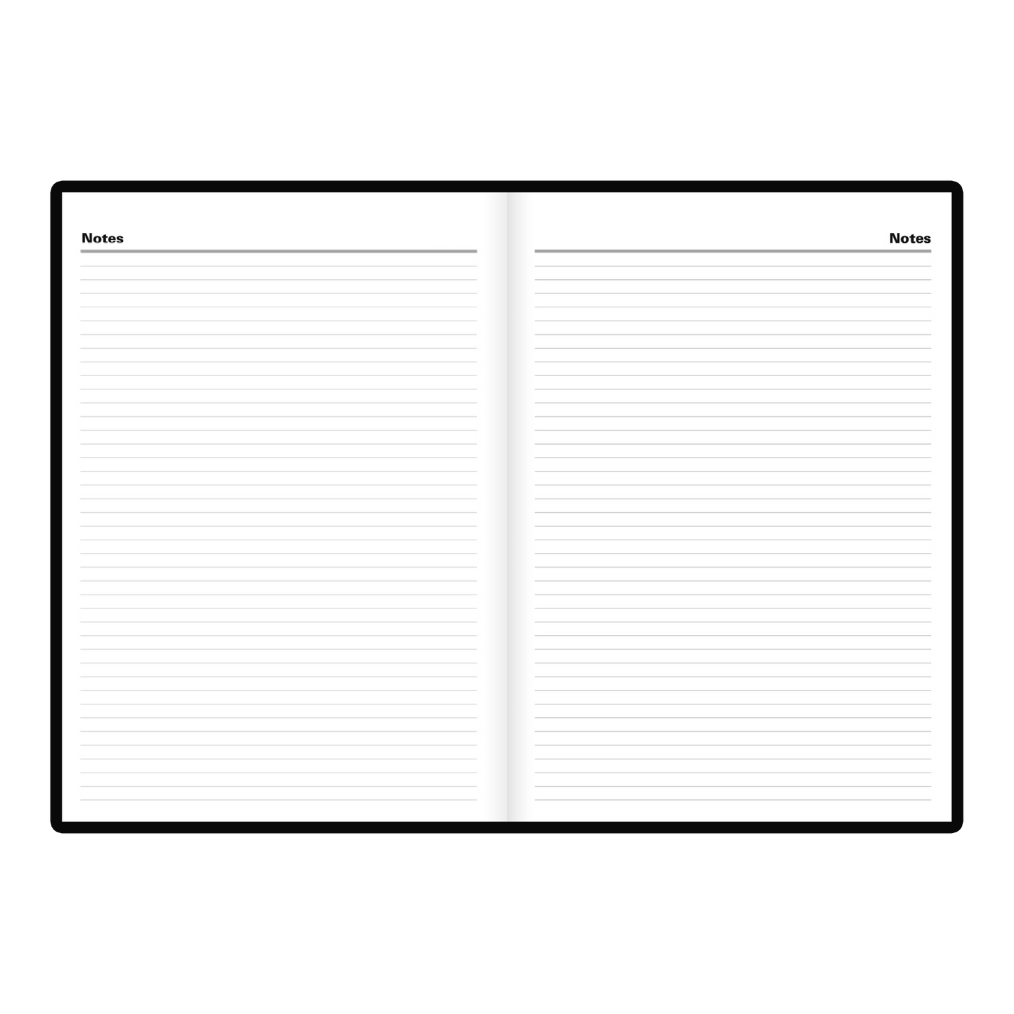 C10Z   QUOTIDIEN EXÉCUTIF STANDARD