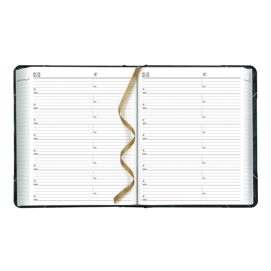 Blueline Traditional Daily Planner C517
