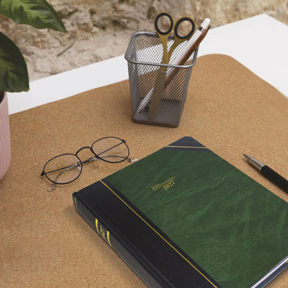 Blueline Traditional Daily Planner C517