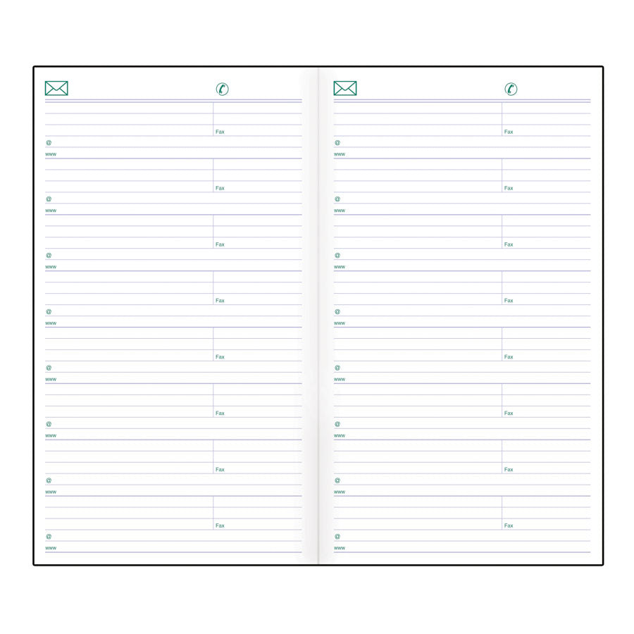 Blueline/Brownline Two-Week Pocket Planner C5626.81Z/C5626.81BZ