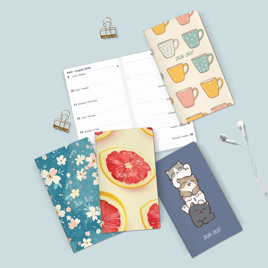 Blueline Essential Two-Week Pocket Planner CA5626B.ASX